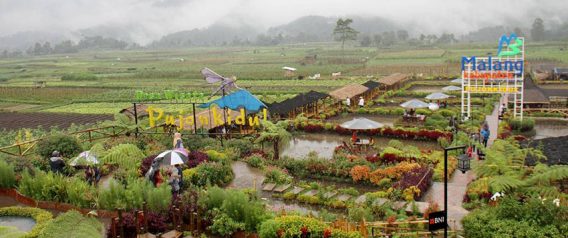 Paket Wisata Di Malang