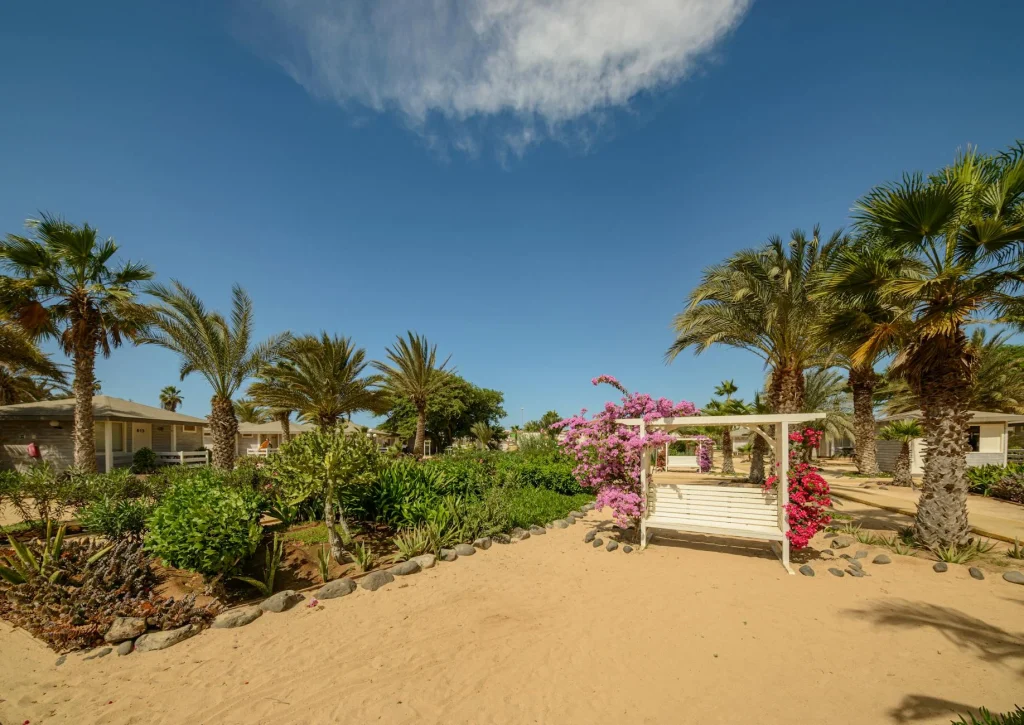 Coban Rais Flower Garden Swing