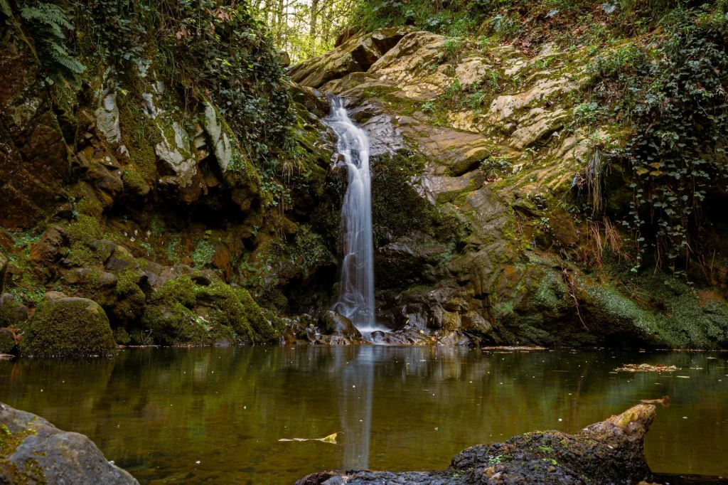 Coban Talun Hidden Waterfall Forest Path