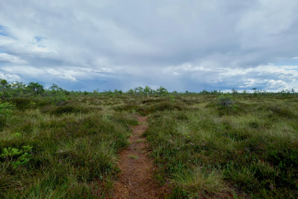 Rekomendasi Hotel Dekat Wisata Alam Populer