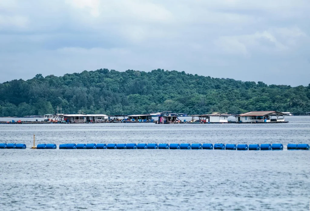 Rekomendasi Pantai Selatan Malang Dengan Pasir Putih Memukau